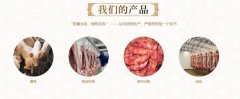 南充市太*食品有限公司企業(yè)網(wǎng)站建設(shè)營銷型案例作品